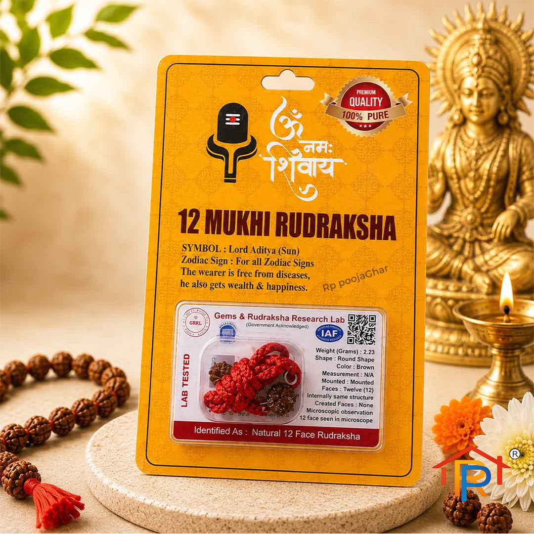 ShivaRatna 12 Mukhi Nepali Rudraksha Silver cap Wood Locket