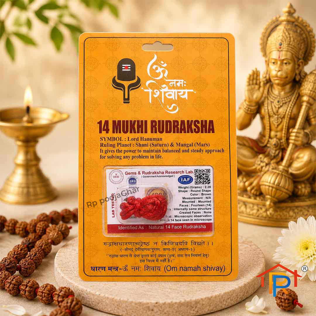 ShivaRatna 14 Mukhi Nepali Rudraksha | 100% Natural Nepal Rudraksha | Lab Certified | Fourteen Mukhi Rudraksha for Meditation, Puja & Spiritual Practices