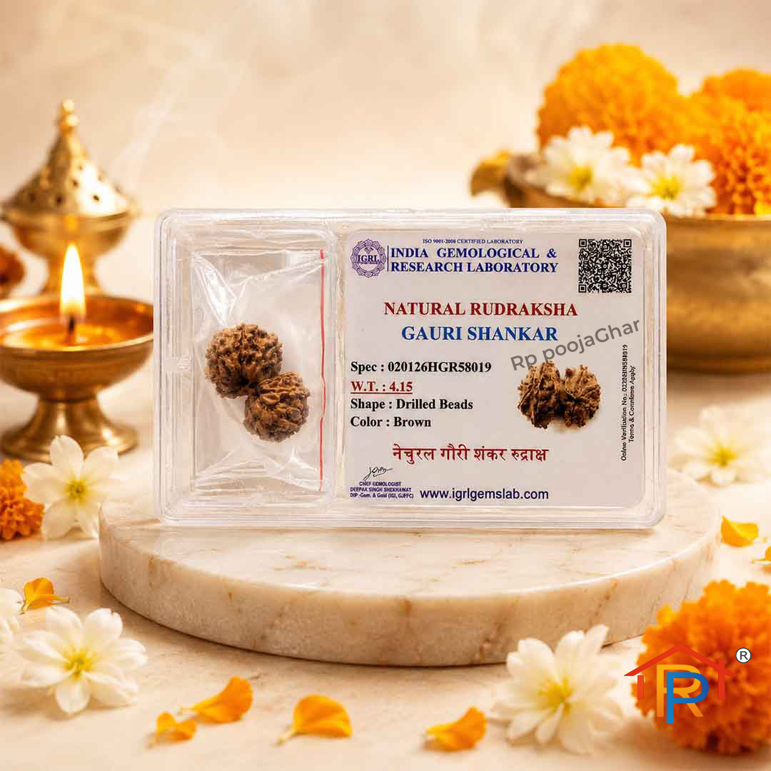 Gauri Shankar Rudraksha – Symbol of Divine Union, Love & Harmony
